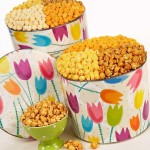 TPF Spring Tin with Tulips
